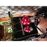Image 3 of customer photos