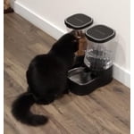 Image 7 of customer photos