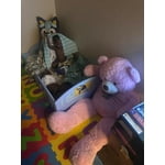 Image 3 of customer photos