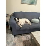 Image 3 of customer photos