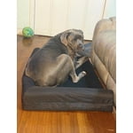 Image 1 of customer photos