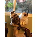 Image 2 of customer photos