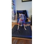 Image 4 of customer photos