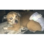 Image 6 of customer photos