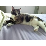 Image 4 of customer photos