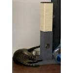 Image 7 of customer photos