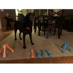 Image 4 of customer photos