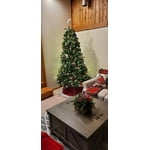 Image 2 of customer photos