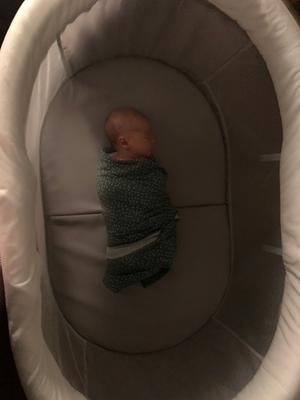 ingenuity wood foldaway rocking bassinet walmart