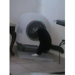 Image 4 of customer photos