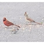 Image 6 of customer photos