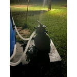 Image 7 of customer photos