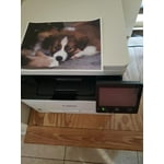 Image 1 of customer photos