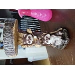 Image 2 of customer photos