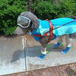 Image 5 of customer photos