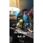 Image 1 of customer photos