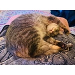 Image 5 of customer photos