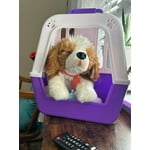 Image 3 of customer photos