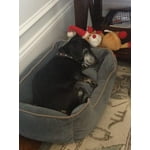 Image 3 of customer photos