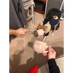 Image 5 of customer photos