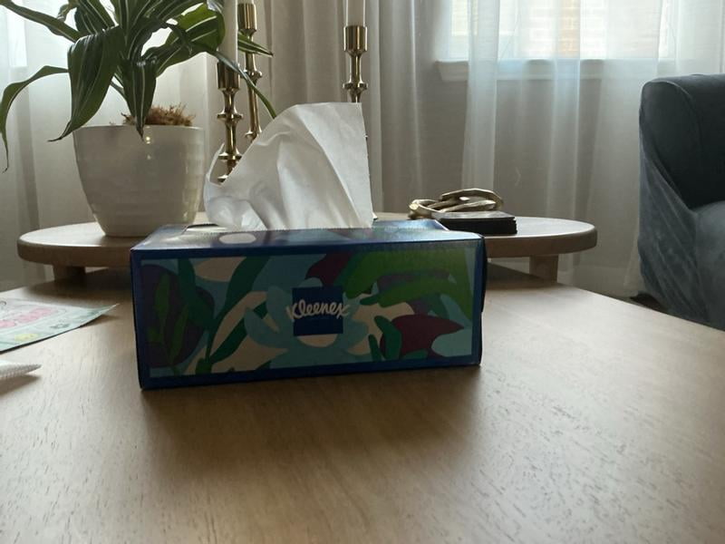 Kleenex Trusted Care Everyday Tissues, Soft, Strong, Absorbent, 2