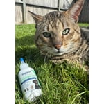 Image 7 of customer photos