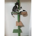 Image 7 of customer photos