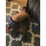 Image 3 of customer photos