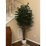 Image 1 of customer photos