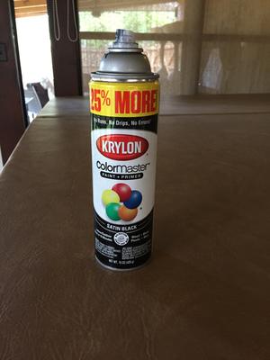 Krylon® ColorMaster Paint + Primer Gloss Black, 15-Oz 