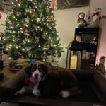 Image 4 of customer photos