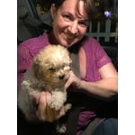 Image 6 of customer photos