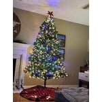 Image 1 of customer photos