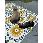 Image 4 of customer photos