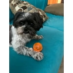 Image 1 of customer photos