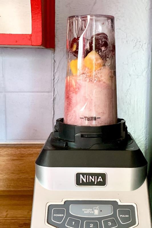 Nutri Ninja Pro BL455 Single Serve High Speed Blender