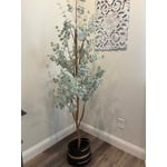 Image 1 of customer photos