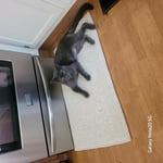 Image 4 of customer photos