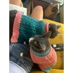 Image 4 of customer photos