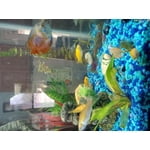 Image 4 of customer photos