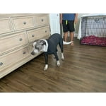 Image 5 of customer photos