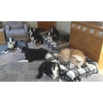 Image 4 of customer photos