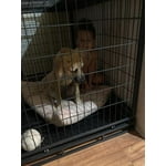 Image 4 of customer photos