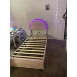 Image 3 of customer photos