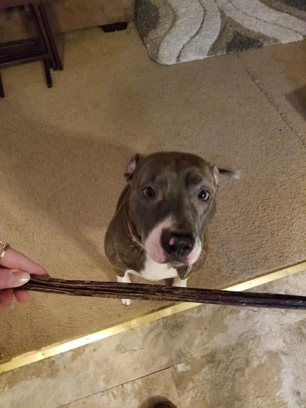 cadet bully sticks walmart