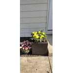 Image 4 of customer photos