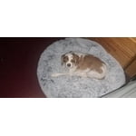 Imagen 10 de las fotos del cliente