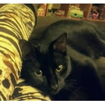 Image 2 of customer photos