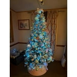 Image 6 of customer photos