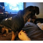 Image 3 of customer photos